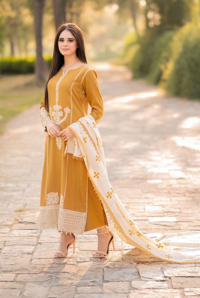 3PC EMBROIDERED SUIT DHANAK ZZ-001