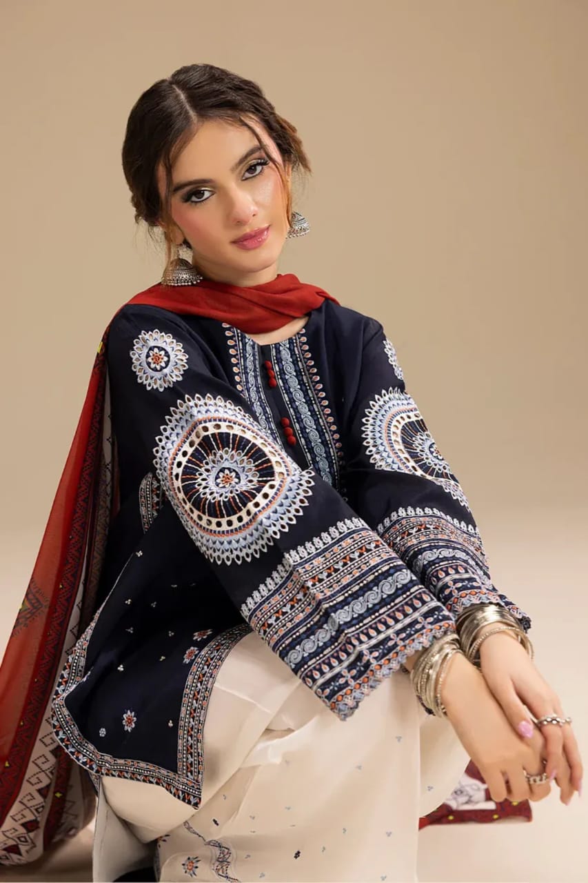 3PC EMBROIDERED SUIT DHANAK ZZ-008